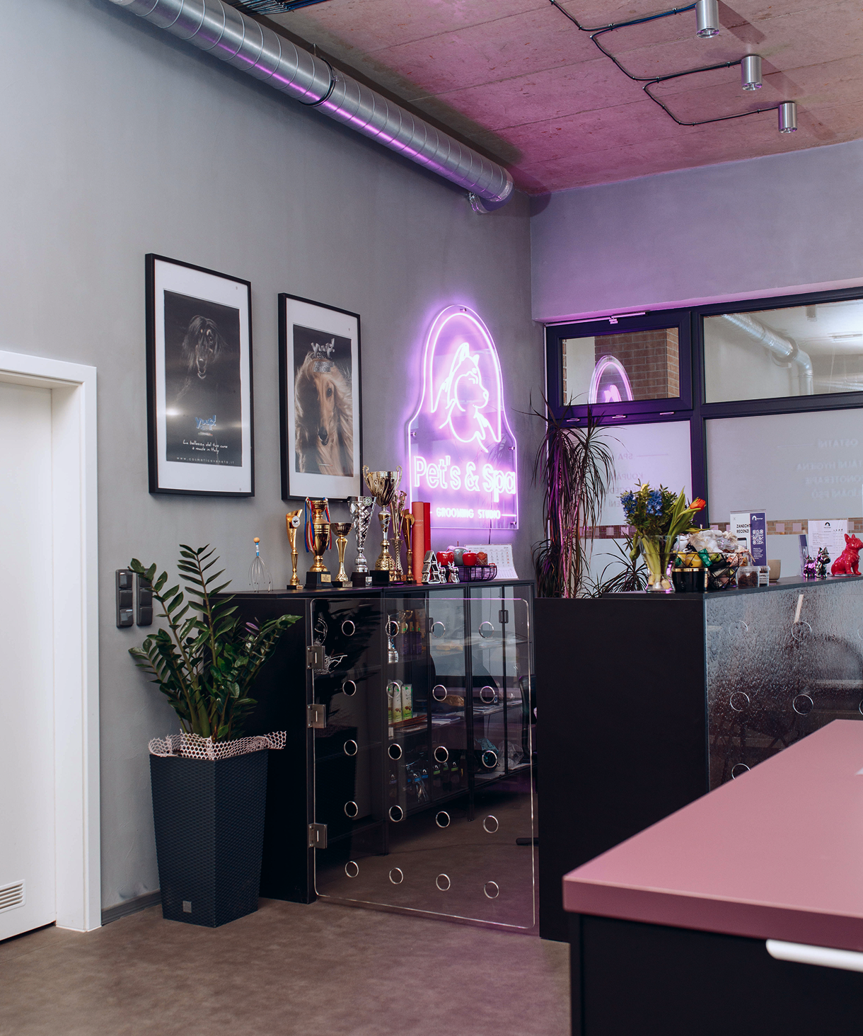 Pet’s & Spa salon interior