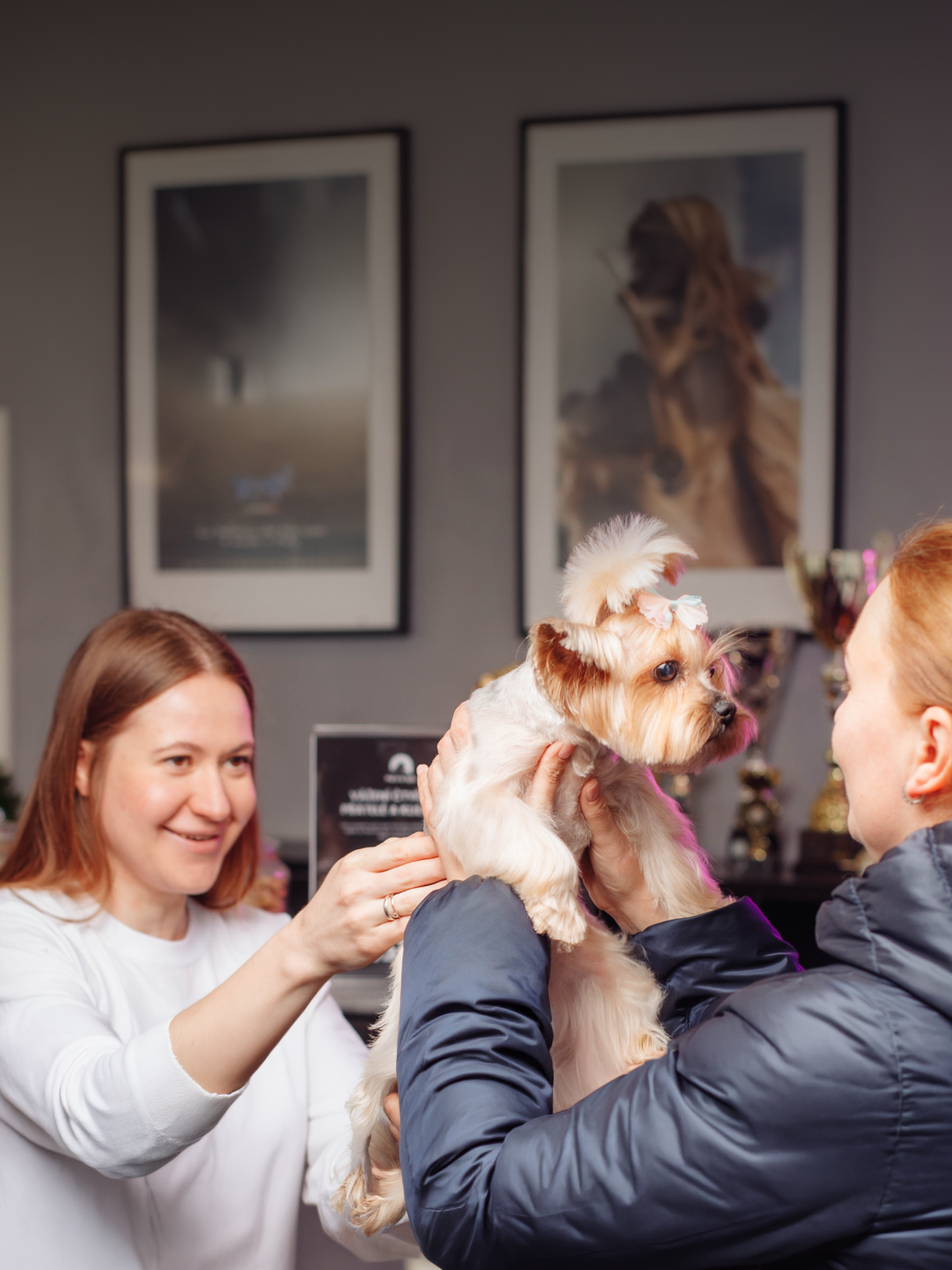 Pet’s & Spa bonus system